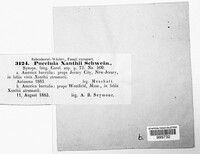 Image Associated With the Occurence